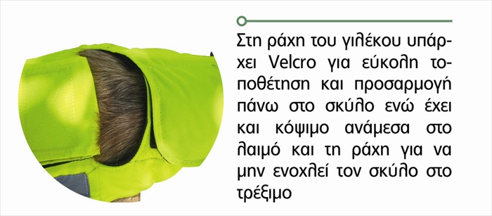 Γιλέκο προστασίας σκύλων OUTDOOR ALPHA PRO T80